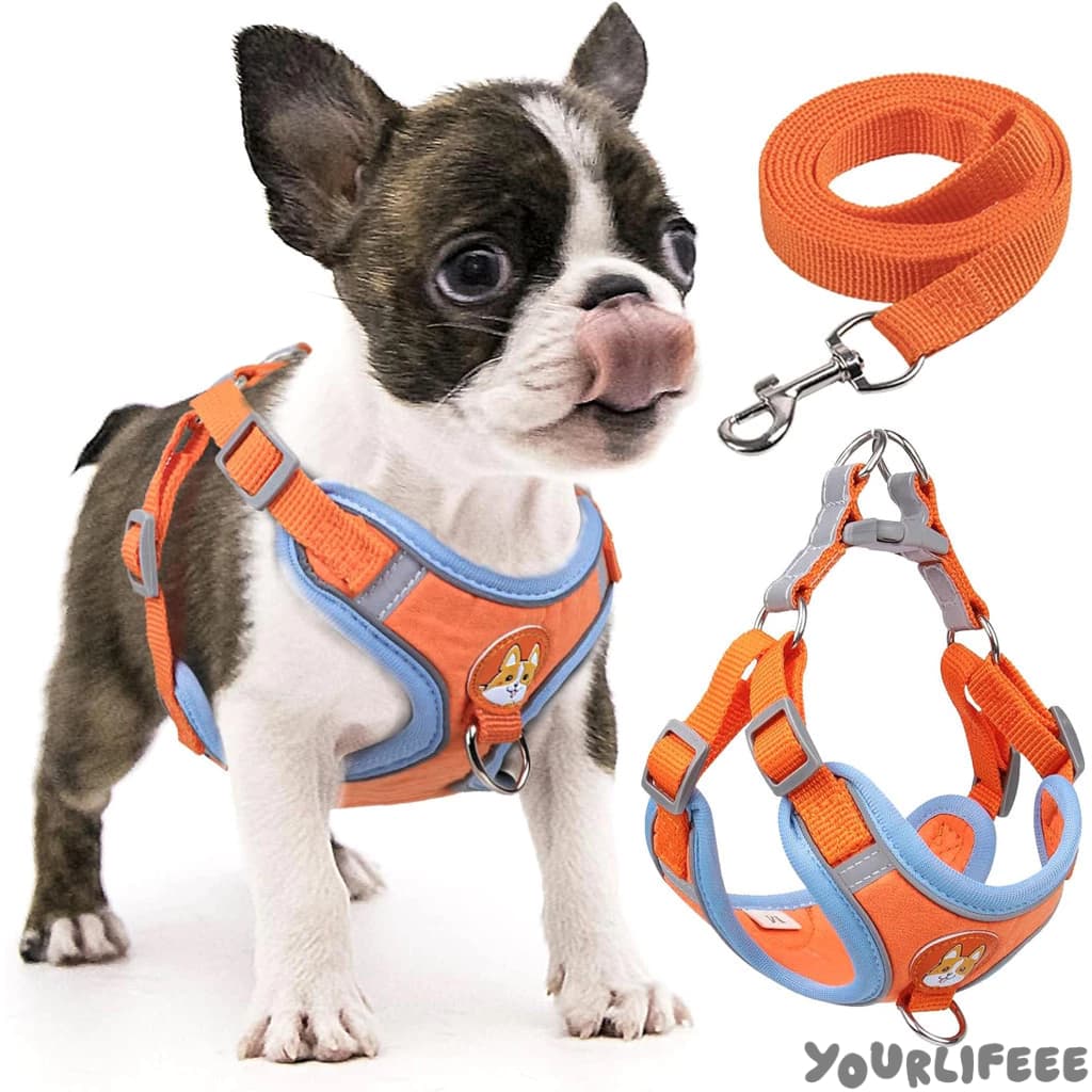 Coleira Peitoral coleira para cachorro com guia para pet pequenos e médios colete confortável