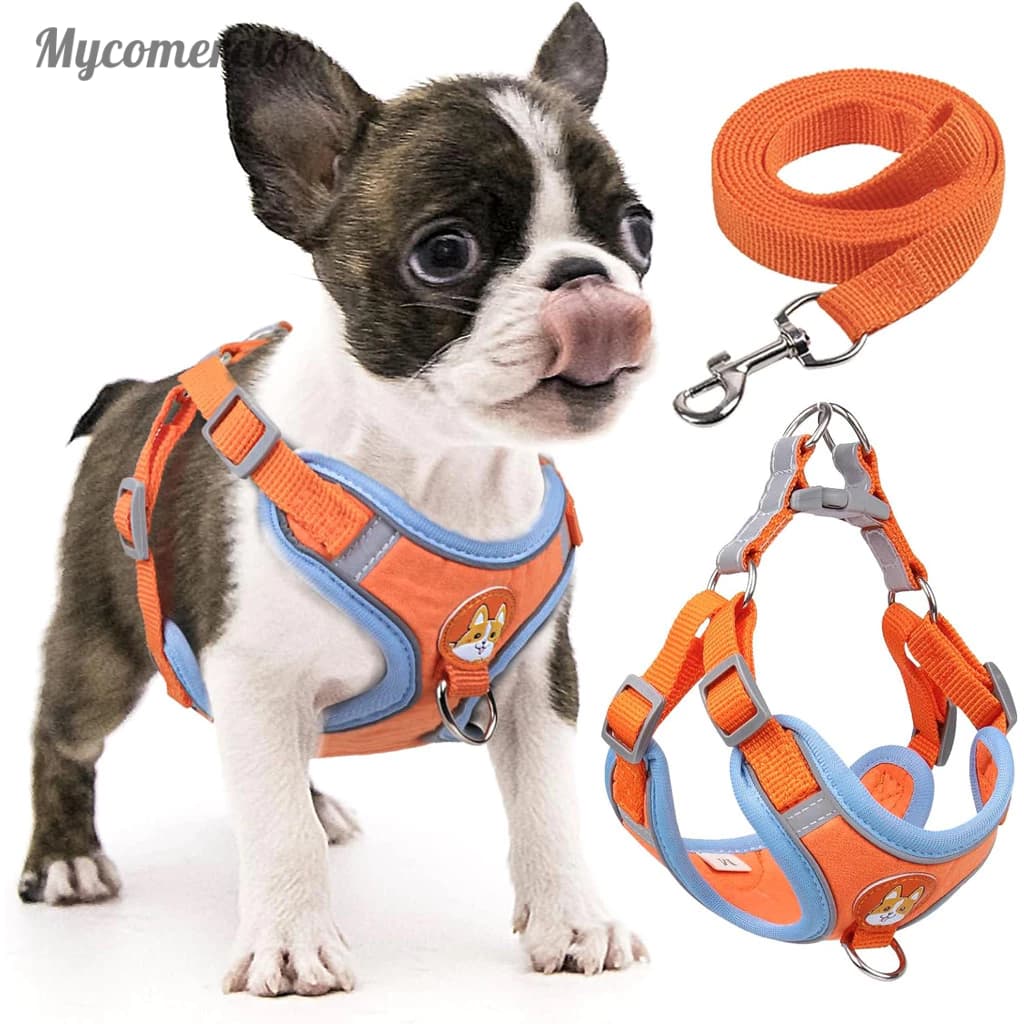 Coleira Peitoral coleira para cachorro com guia para pet pequenos e médios colete confortável