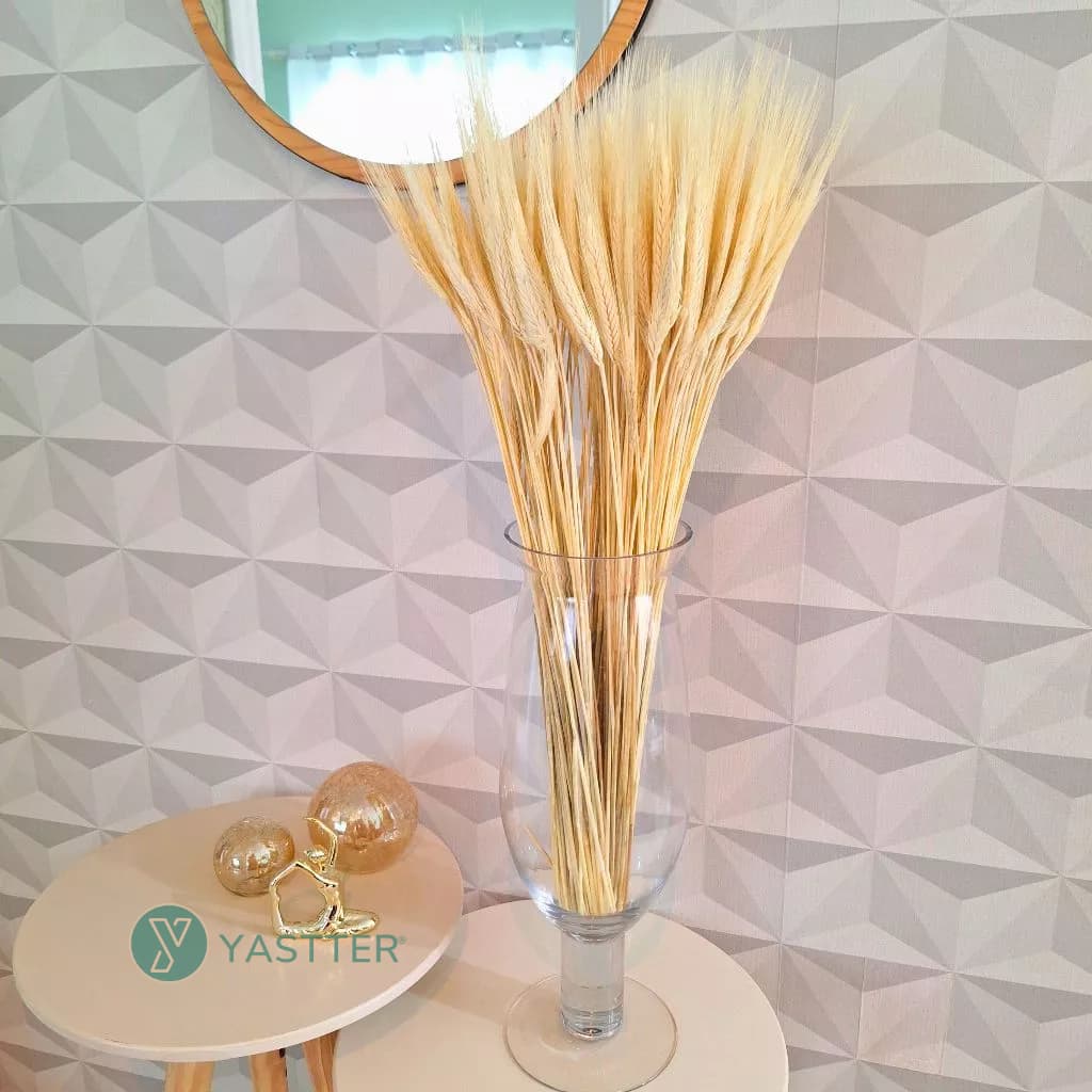 Trigo Seco Para Decoração 40 a 200 hastes Arranjos Flores Desidratadas Vaso Decorativo, Lembrancinha