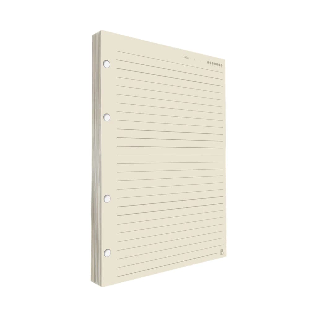 Refil Argolado Pautado 90g 80 folhas Universitário Colegial A5