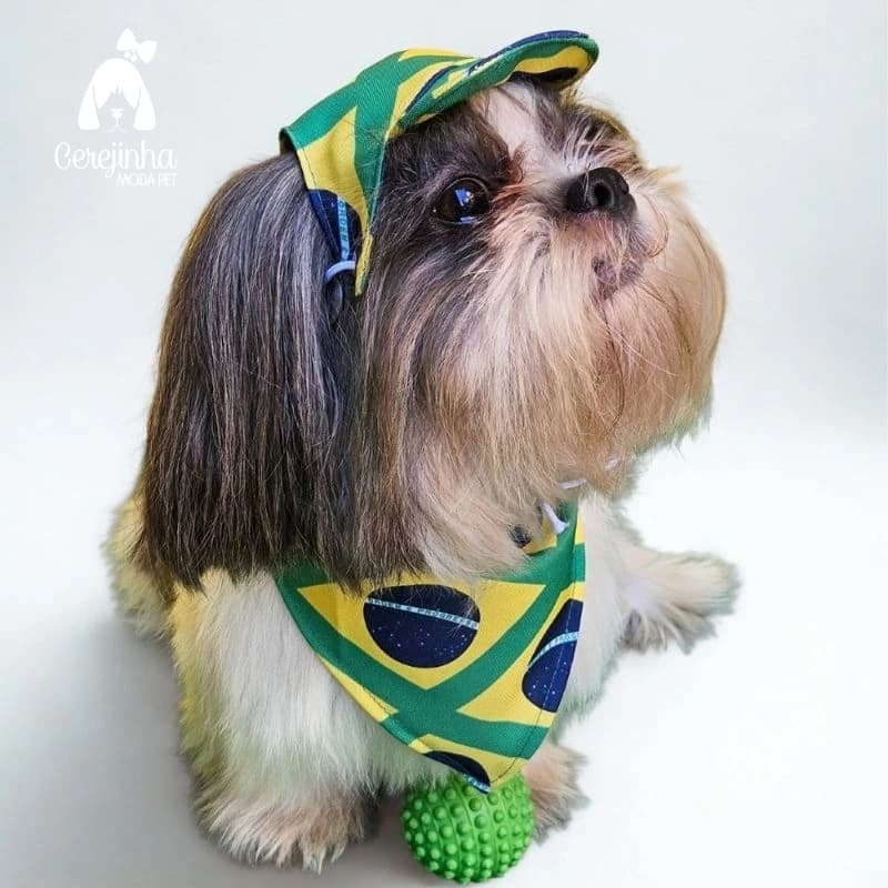 Conjunto Pet Bandana e Boné Brasil Copa do Mundo Para Cachorro e Gato