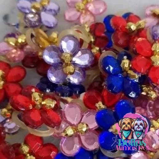 100 Ponto de luz  Penteado Pet  Banho e Tosa