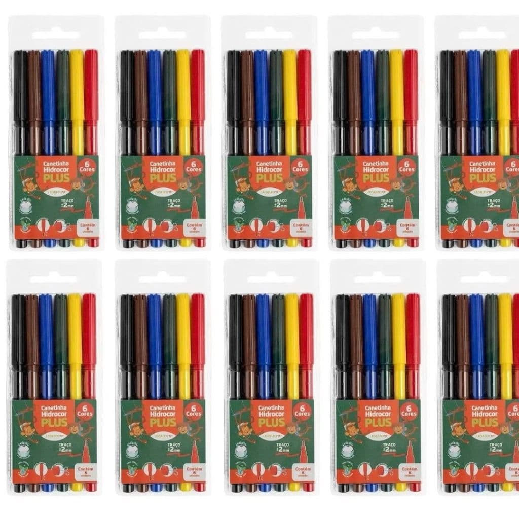 Kit 12 Hidrocor Lavável 6 Cores Canetinha Plus Estojo Leo&Leo