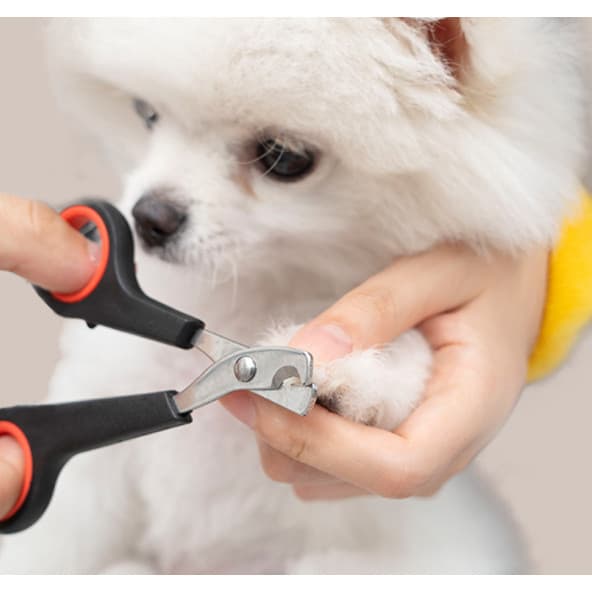 2 Conjuntos Cortador De Unhas Pet Conforto Superior Reduz A Fadiga Da Sua Mão