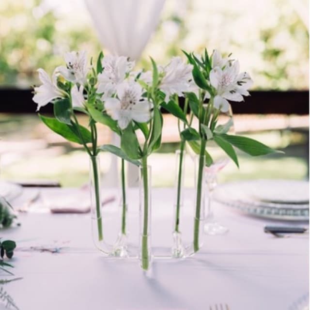 Vaso de Flores - 5 Furos de Vidro