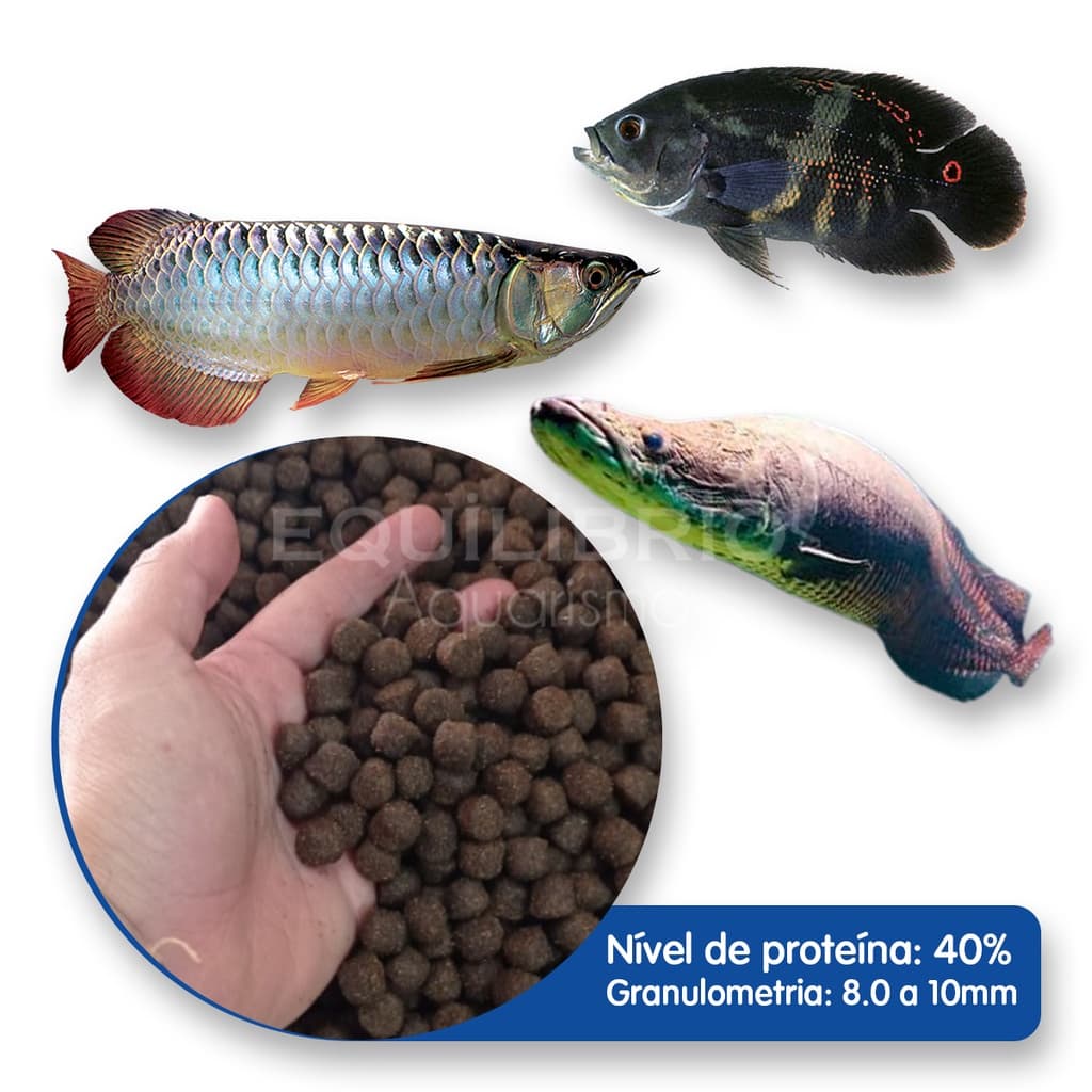 Ração P/ Peixes Carnívoros Pirarucu, Aruana E Outros (10mm) 1 Kg