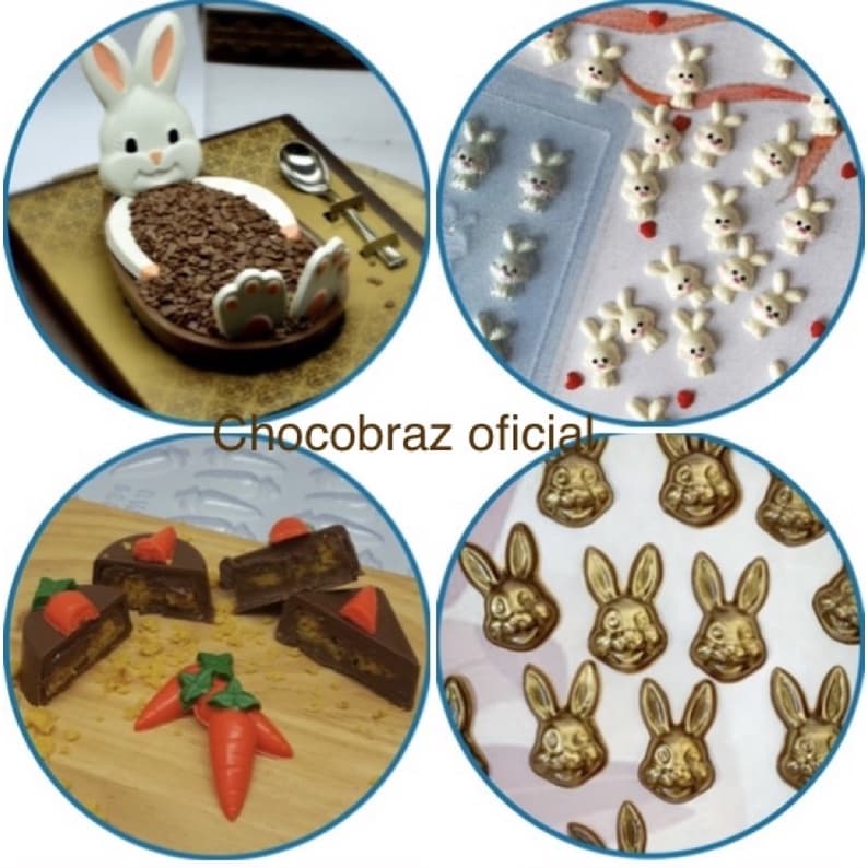 combo  4 formas apliques Páscoa bwb 1 de cada 10219 coelhinho 1 9862 cenoura 1 9861 partes coelho e 1 caracoelho 206