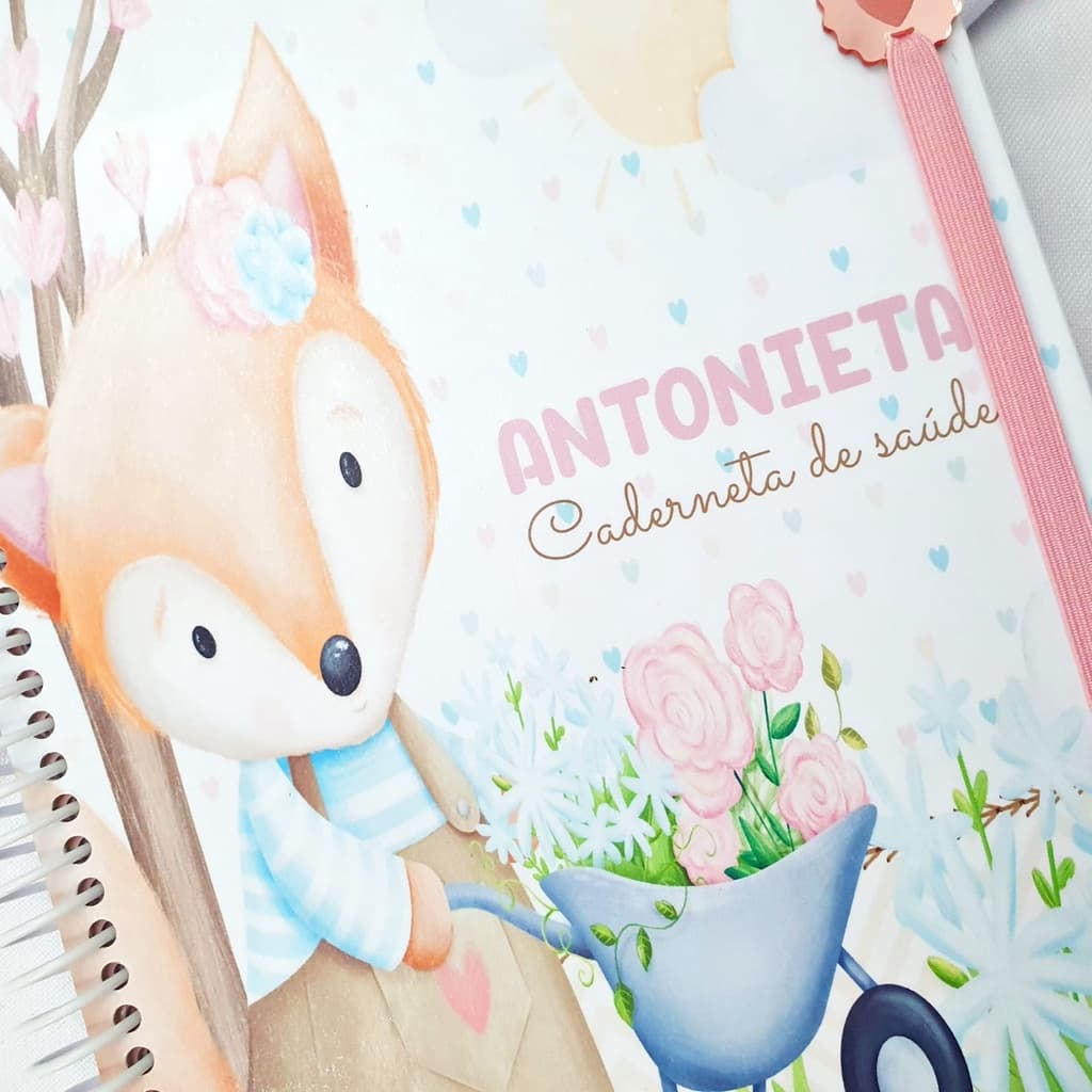 CADERNETA DE SAÚDE PERSONALIZADA-MIMO DO BEBÊ