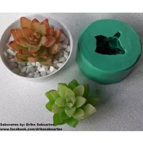 Molde Silicone Sabonete Vela Biscuit Resina - Mini Suculenta