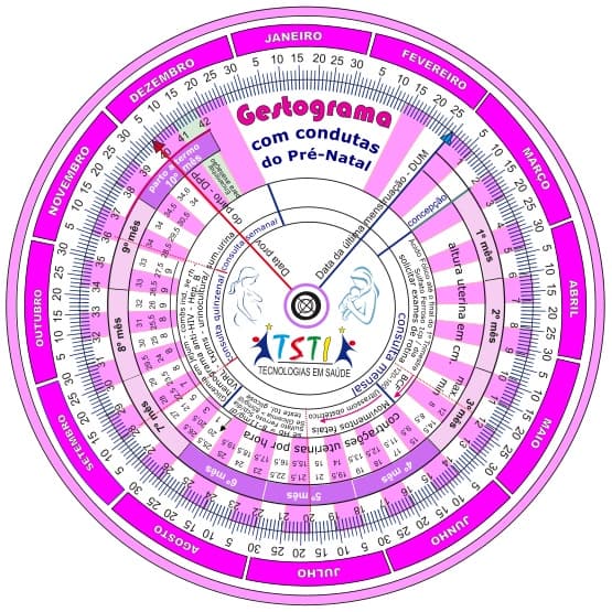 Calendário Gestacional (gestograma)