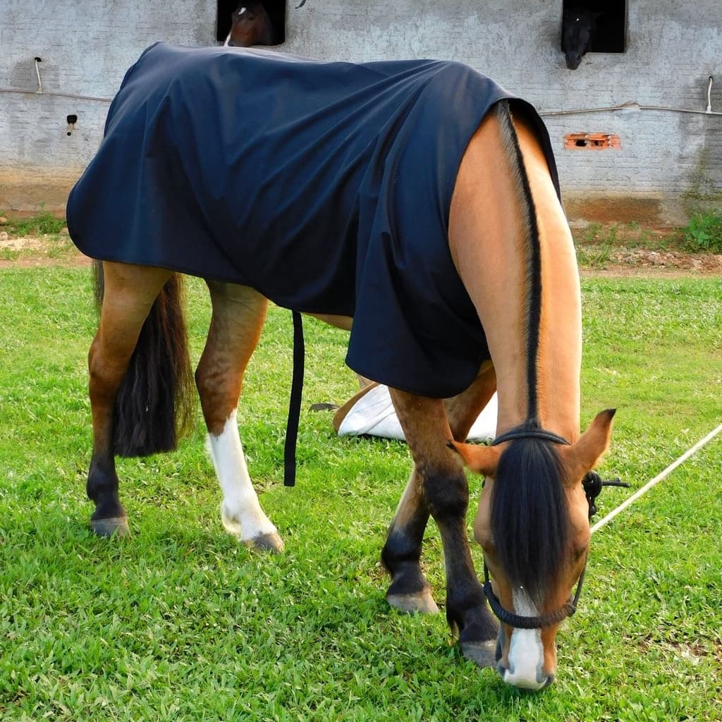 Capa Cavalo Chuva Térmica Inverno Impermeável Com Regulagem Proteção Pelo Cavalo
