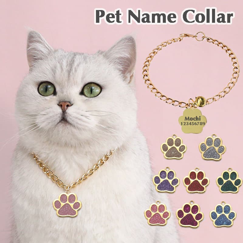Colar Coleira Dog Tag Cat Pet Gold Chain Com Nome Personalizado Free Gravado