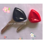 Atualizando A Caixa Da Chave Do chip Motocicleta Bombardier Para Substituir O Invólucro CAN-AM (Sem Dentro)