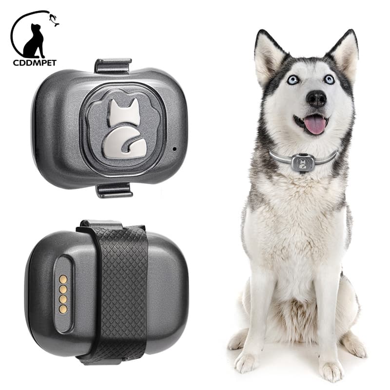 Pet À Prova D'água Gsm Gps Localizador Inteligente De Coleira Cachorro Para Cães Gatos Dispositivo De Rastreamento
