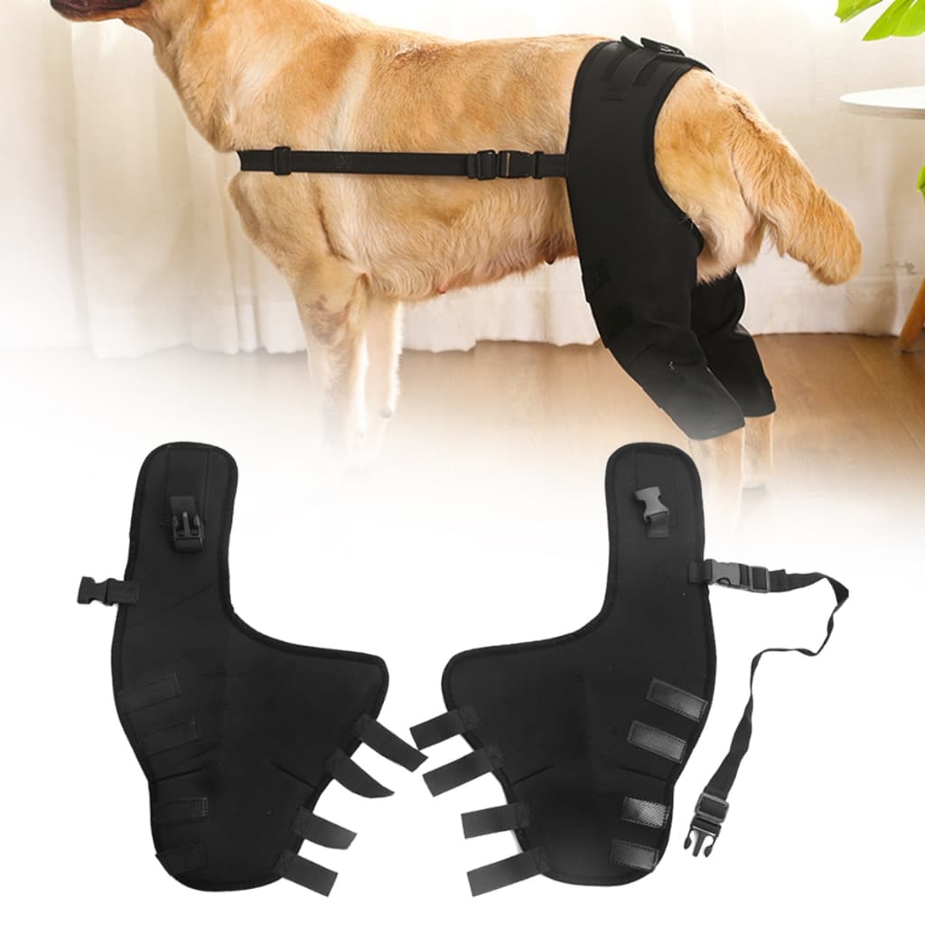 Joelheiras Pretas Para Recuperação De Lesões Nas Articulações Protetor De Pernas Ajustável Cães Cinto De Apoio De Coxas Fixação Pós-Operatória