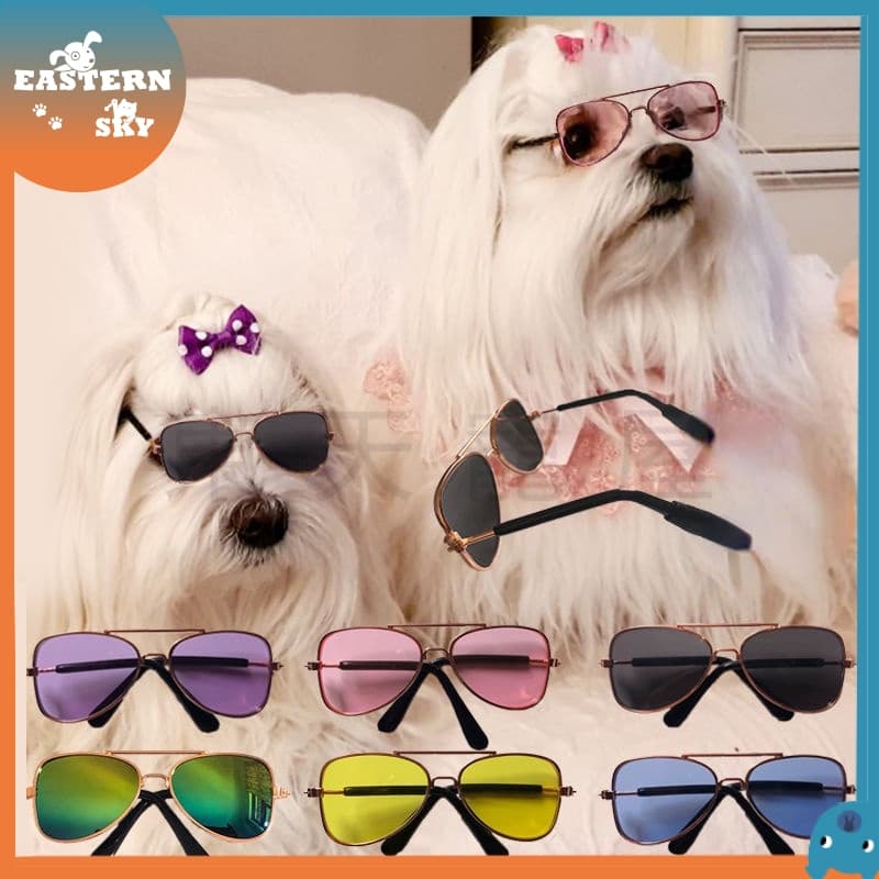 Óculos Para Gatos De Sol Resistentes A UV Animais De Estimação Tendência Personalizada Acessórios Legais