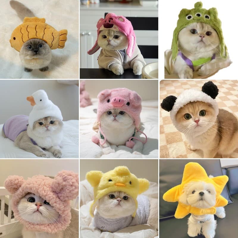 Chapéu De Cachorro Fofo De Halloween Vestido De Gato