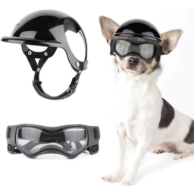 Capacete e Óculos de Proteção para Cães e Gatos - Acessórios Seguros para Passeios
