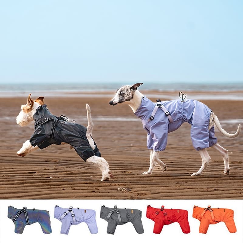 Capa De Chuva Impermeável Para Cães-Com Cobertura Total Arnês Ajustável De 4 Pernas Cachorros , Jaqueta Externa Filhotes