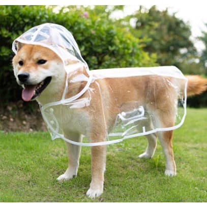 Capa De Chuva Para Cães Transparente Impermeável / Jaqueta Com Capuz Para Animal De Estimação