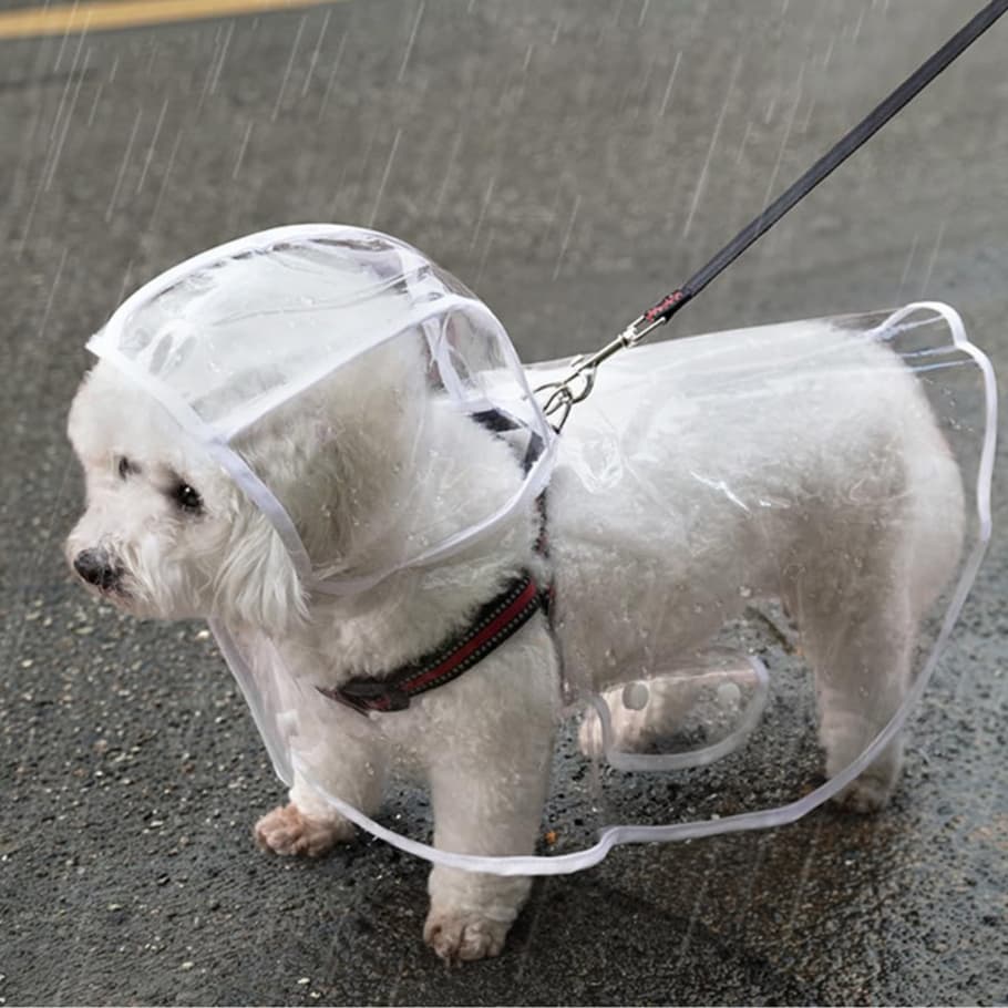 Capa De Chuva Para Cães Transparente Impermeável / Jaqueta Com Capuz Para Animal De Estimação