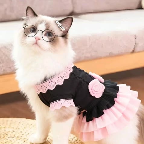 Óculos de Sol para Cachorro/óculos para pet/óculos cachorro/Óculos de Proteção para Cães