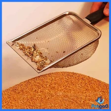 Ferramentas De Limpeza Para Animais De Estimação : Espátula De Aço Inoxidável , Areia Líquida , Répteis , Lagartos