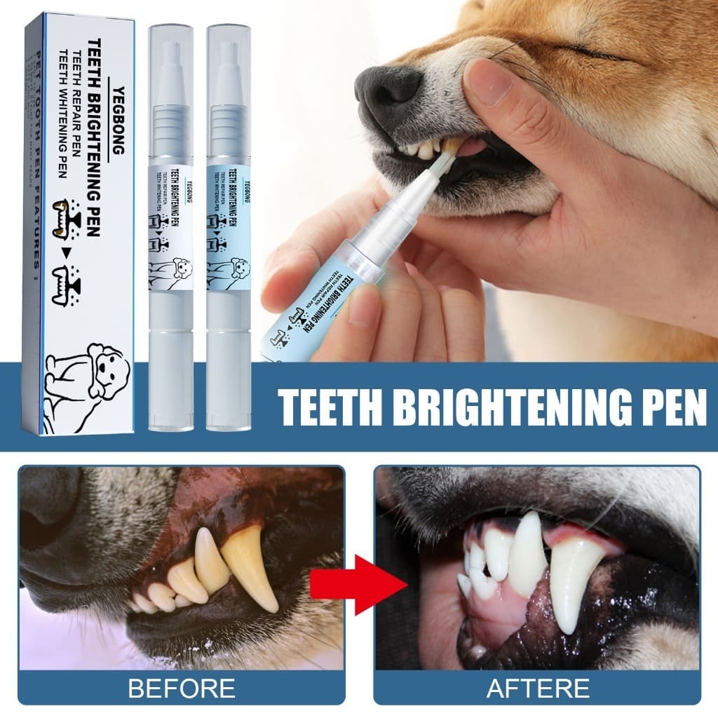Caneta de limpeza de dentes de animais de estimação Ferramenta de limpeza de tártaro Universal para cães e gatos