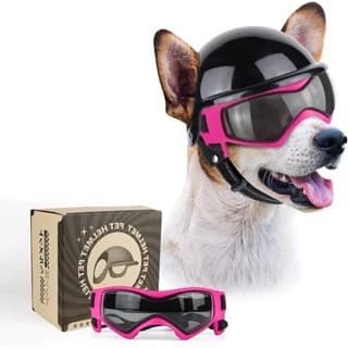 Capacete E Óculos Para Cães , Chapéu Pequeno De Motocicleta Com Alças Ajustáveis Andando Seu Cachorro