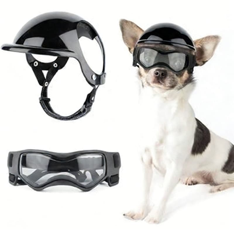 Capacete E Óculos Para Cães , Chapéu Pequeno De Motocicleta Com Alças Ajustáveis Caminhar Seu Cachorro