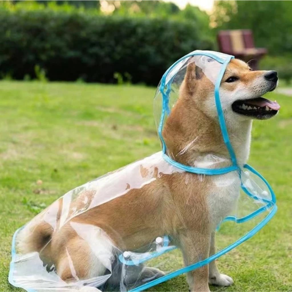 Capa de Chuva Impermeável Proteção para Pet Médio Grade Porte Cachorro Gato A prova D'água Passeio com Capuz
