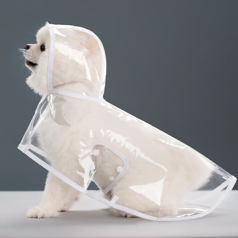 Capa De Chuva Para Cães Transparente Impermeável / Jaqueta Com Capuz Para Animal De Estimação Cachorro e Gato Proteção