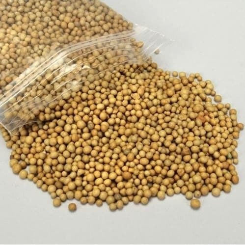 Osmocote Adubo Orquideas Rosa do deserto 14-14-14 400 Grs Fertlizante Liberação Lenta