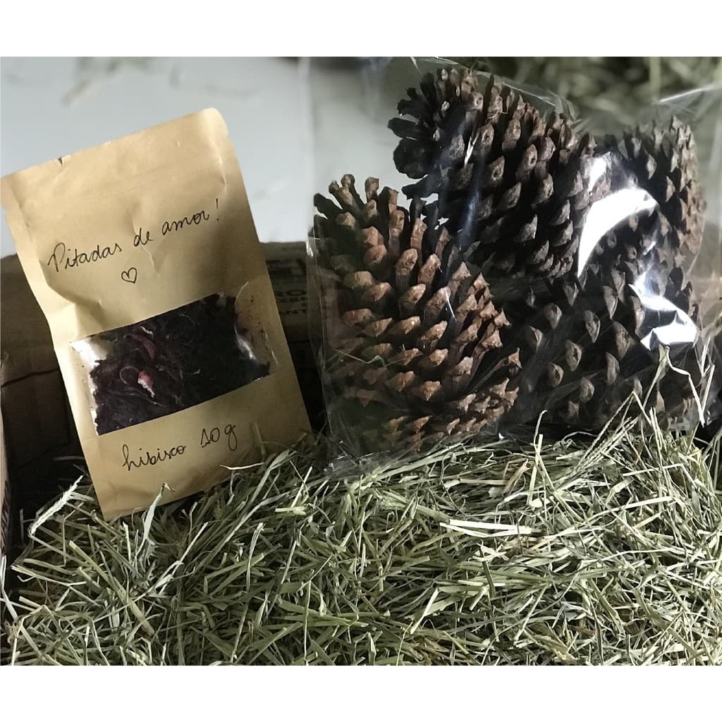 Feno 1kg - Combo NUTRIPANSPETS + 04 Pinhas + 10gr Ervas Desidratada Sabor Sortido