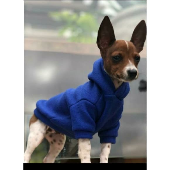 Roupinha cachorro frio  Roupa Pincher 0 1 2 yorkshire pug Roupas gato outros