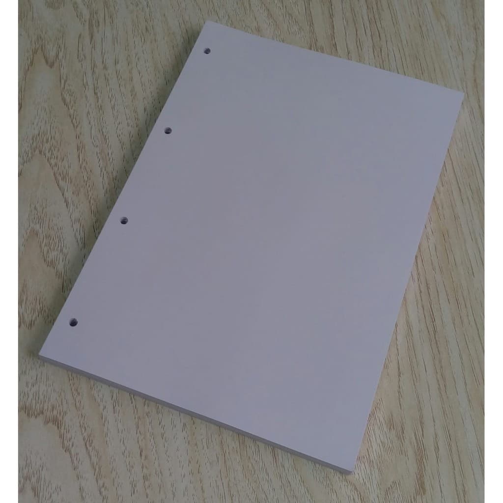 Bloco Refil De Fichário 75g Miolo De Folhas A4 210mm x 297mm  Branco Sem Pauta 100f