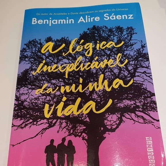 livro a lógica inexplicável da minha vida