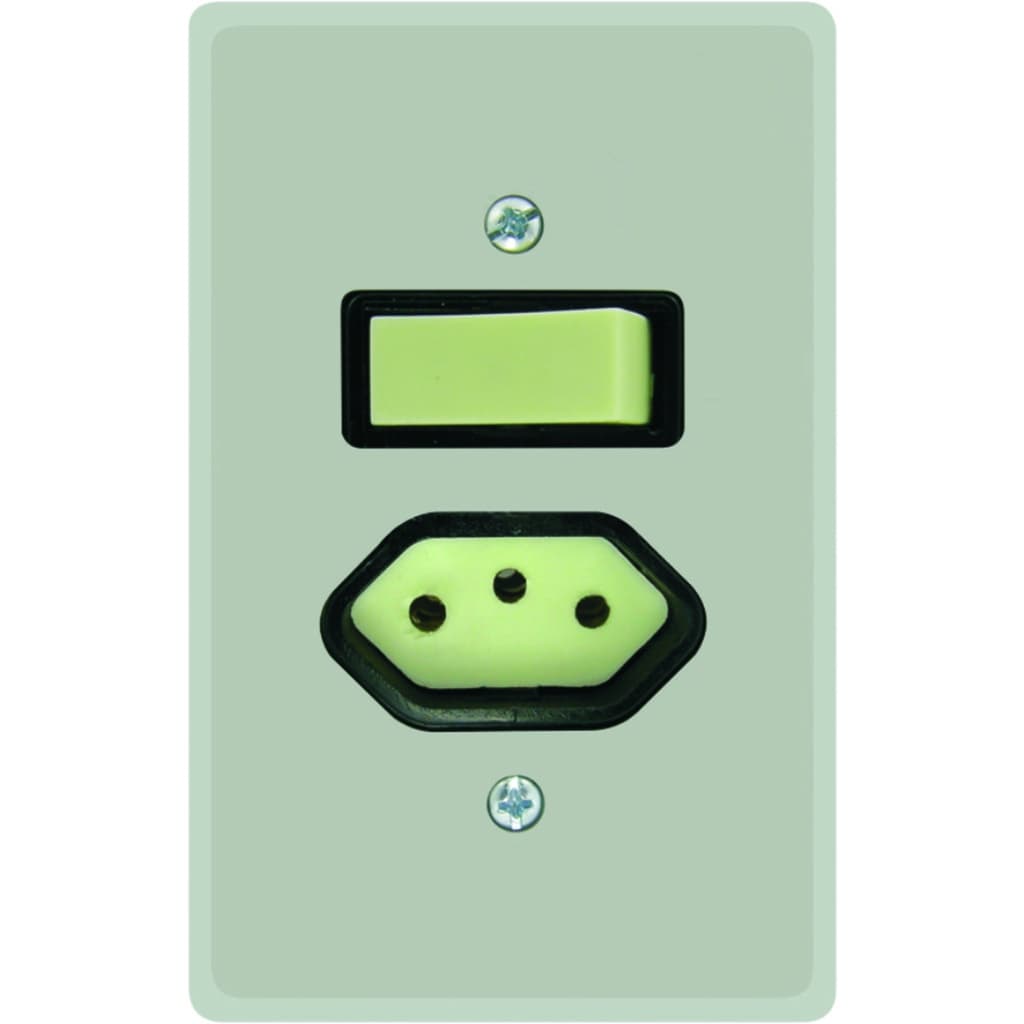 Interruptor Simples + Tomada 2 P+T 10a Linha Prata Radial