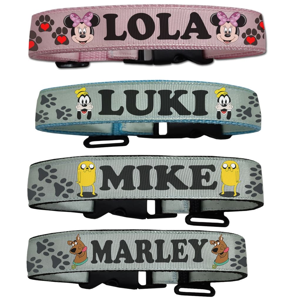 Coleira Para Cachorro Nome Personalizado Porte Grande e Pequeno