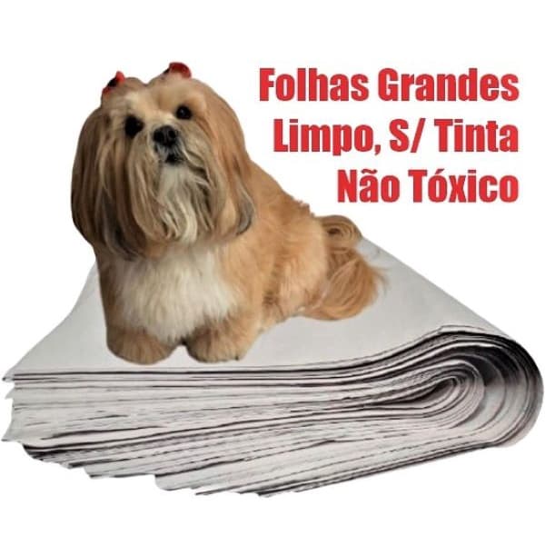 JORNAL GRANDE 50x70cm P/ PET,  S/ IMPRESSÃO, PAPEL MANILHA  TAPETE,  DIR. FÁBRICA