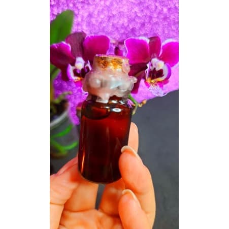 Óleo Hoodoo Conjurado Sedução e Excitação