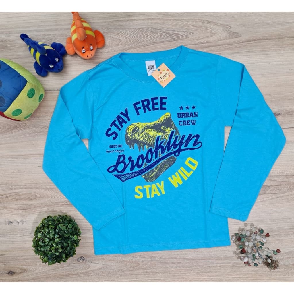 Camiseta Masculina Infantil Azul Tamanho 10