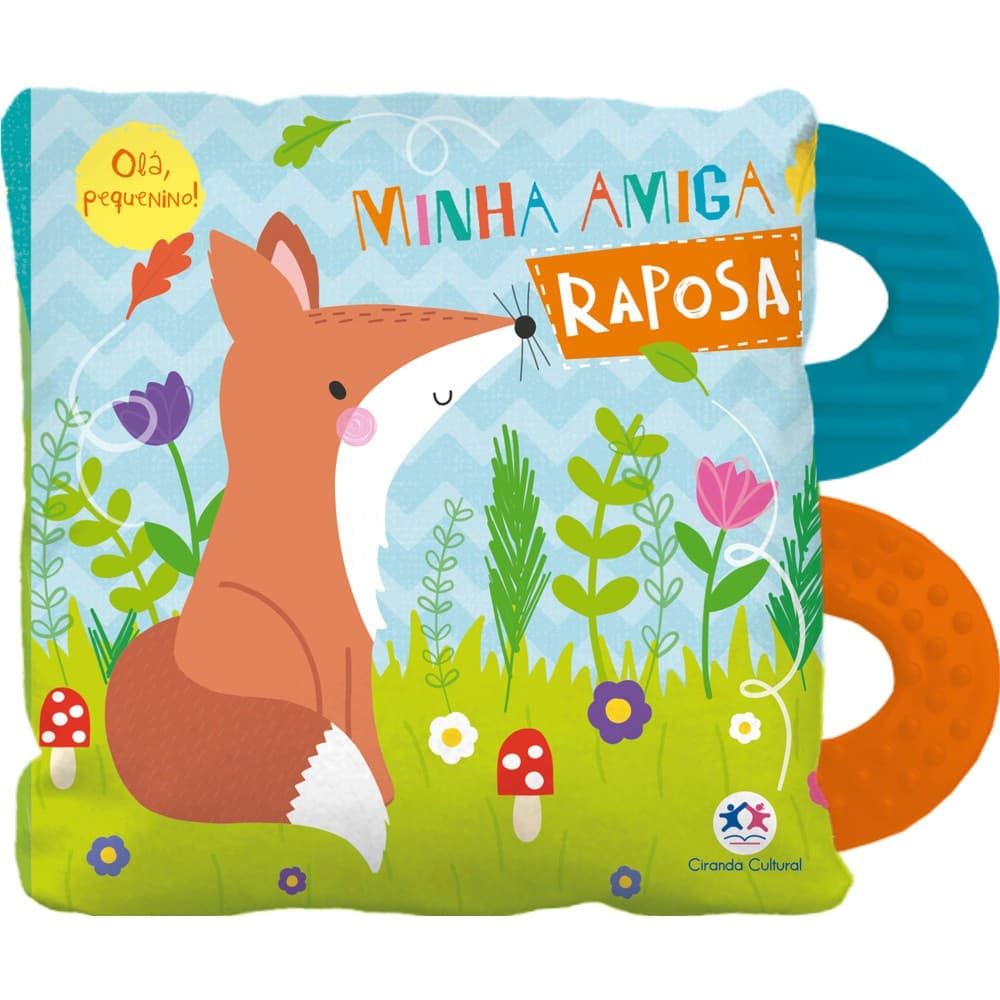 Livro - Minha amiga raposa