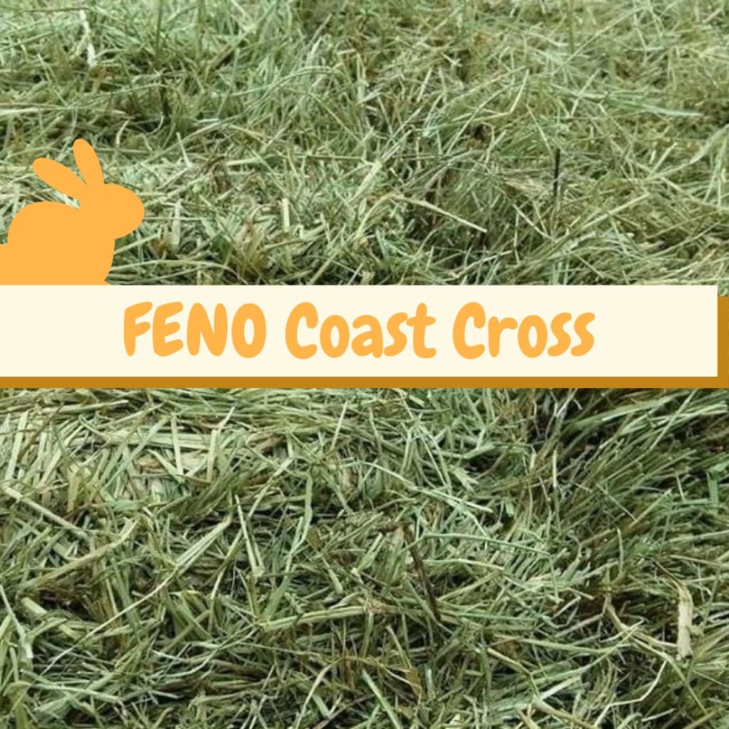 Feno Coast Cross Saborizado - 800g