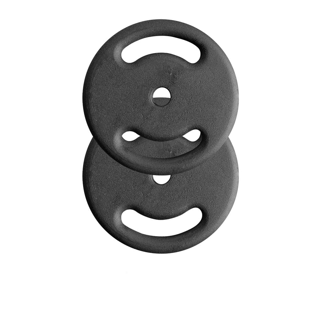 2 Anilhas De 10 Kg Pintadas Kit 20 Kg Treino Fitness