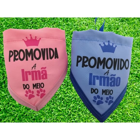 Bandanas Promovido a Irmão do meio pet's.