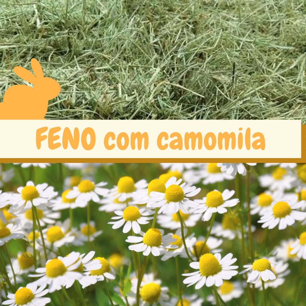 Feno Coast Cross com Camomila - 500g