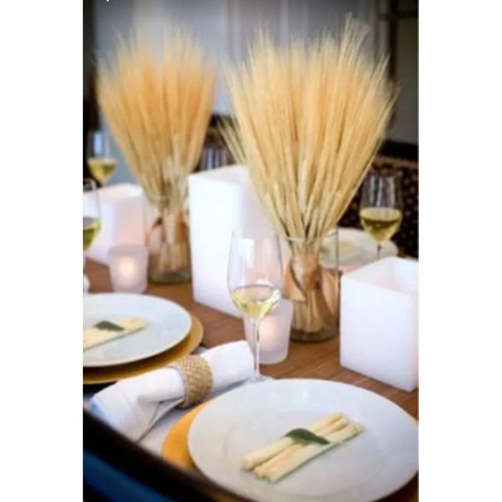 100 Hastes de trigo natural Desidratado Decoração Casamento Mesa 15anos Buque.