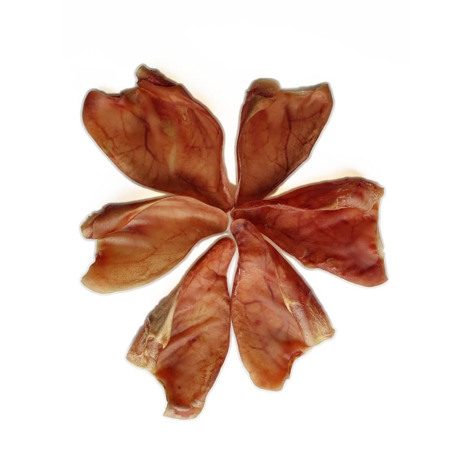 Orelha Suina com 5und - tamanho P