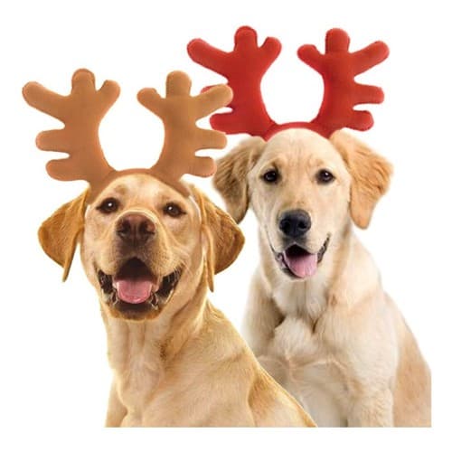 02 Chifres Renas Natalinas P/cães Porte Médio ou Grande Em Feltro C/enchimento